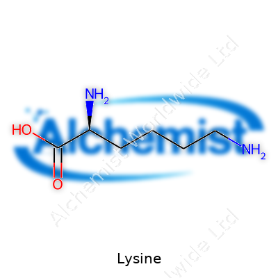 Lysine